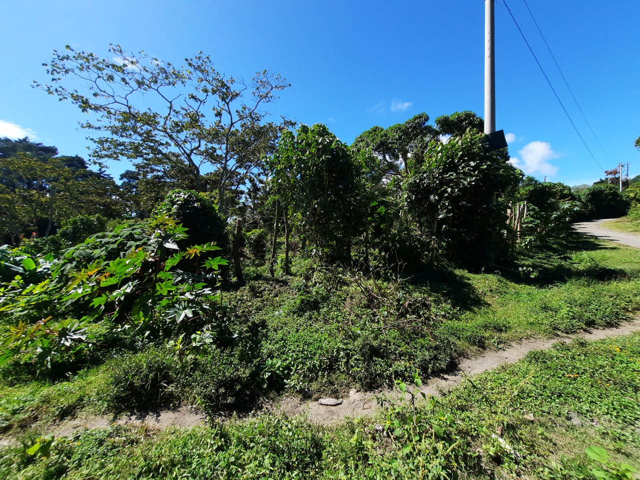 06cf70a4-3e49-43d2-a87a-dd64611a93a6