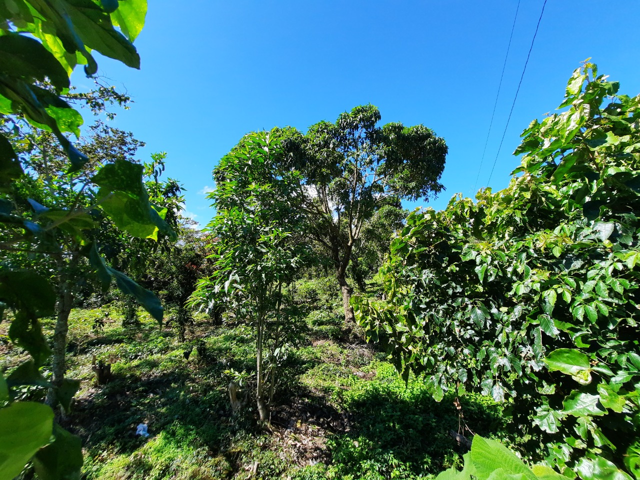 1c3cdc5e-f22d-454f-8652-288d29ca342c