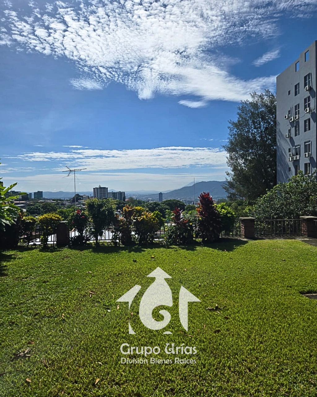 29d98716-f0d4-41ae-816b-7b9bc6a4d743