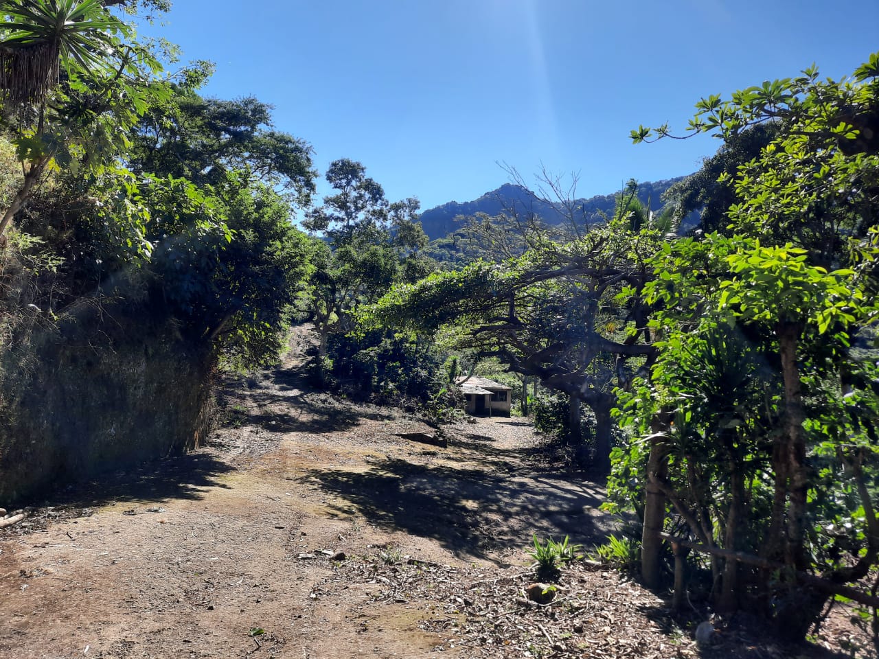 2aa22423-d737-4a3c-bf2b-bfd3e1b8da12