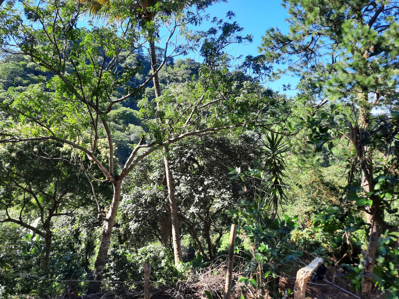 2ca9f70f-9238-408b-aead-e6742f1f0330