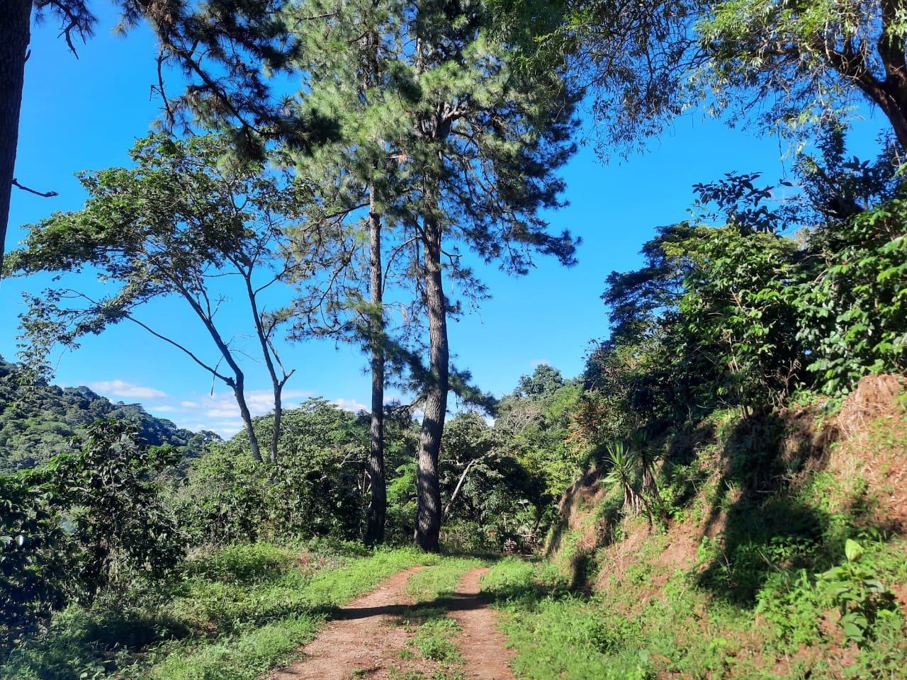 2da327cd-64f7-455f-bd48-def9f5225c96