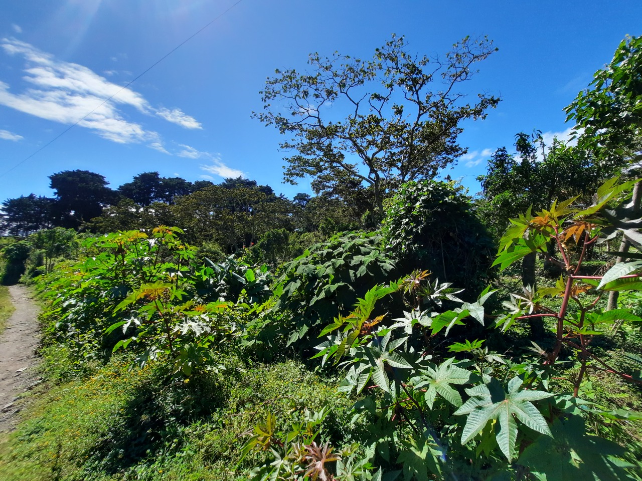 45062fa7-92b6-4c28-952d-9a0b8167ce0f