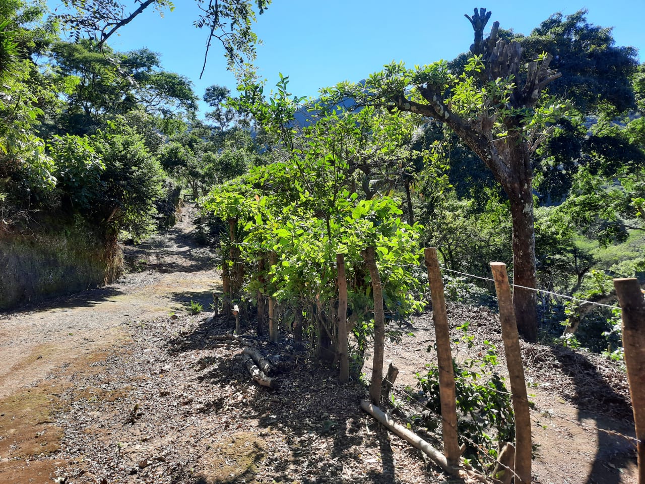 4ca0e786-b66f-487a-8ae2-d6ae206371a1