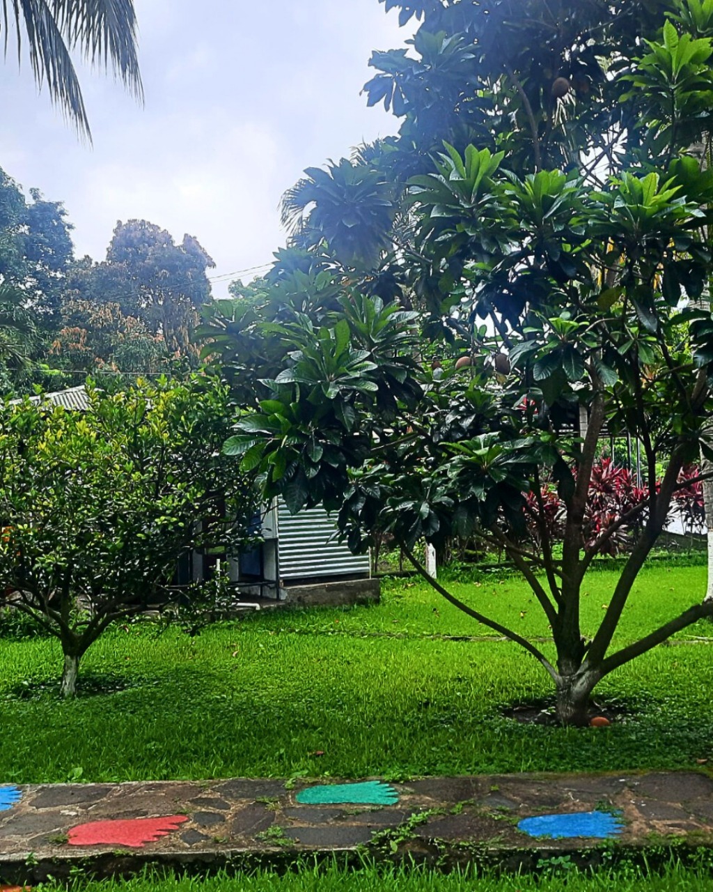 5a7e45e1-4bf9-4d88-947b-5f626cea92ef