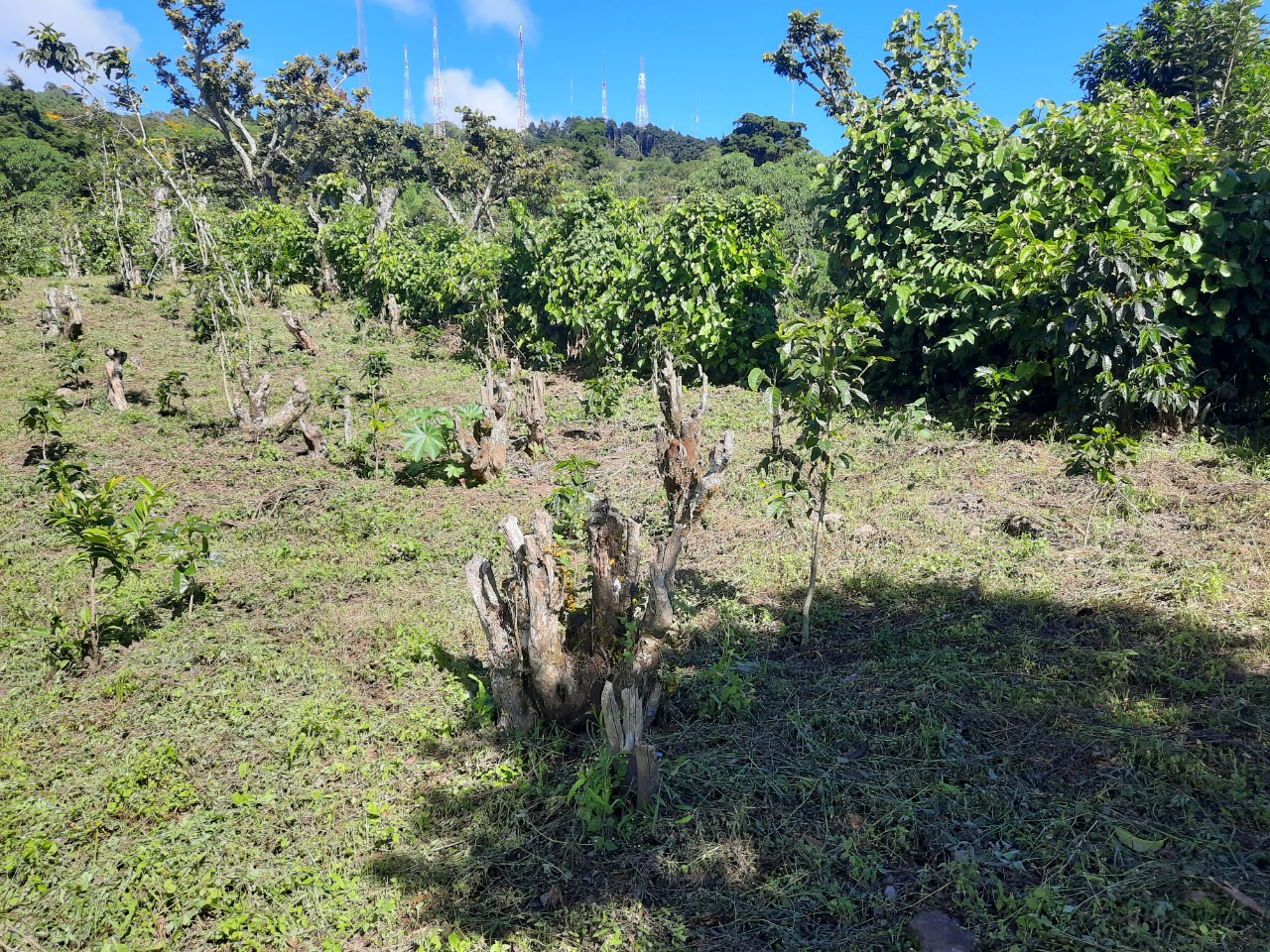 5de8cd0c-b0fc-427e-afa2-13bf823b5ae6