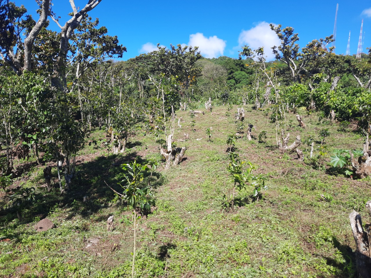 60a3d939-6cc0-417d-a50a-41a63bda0b63