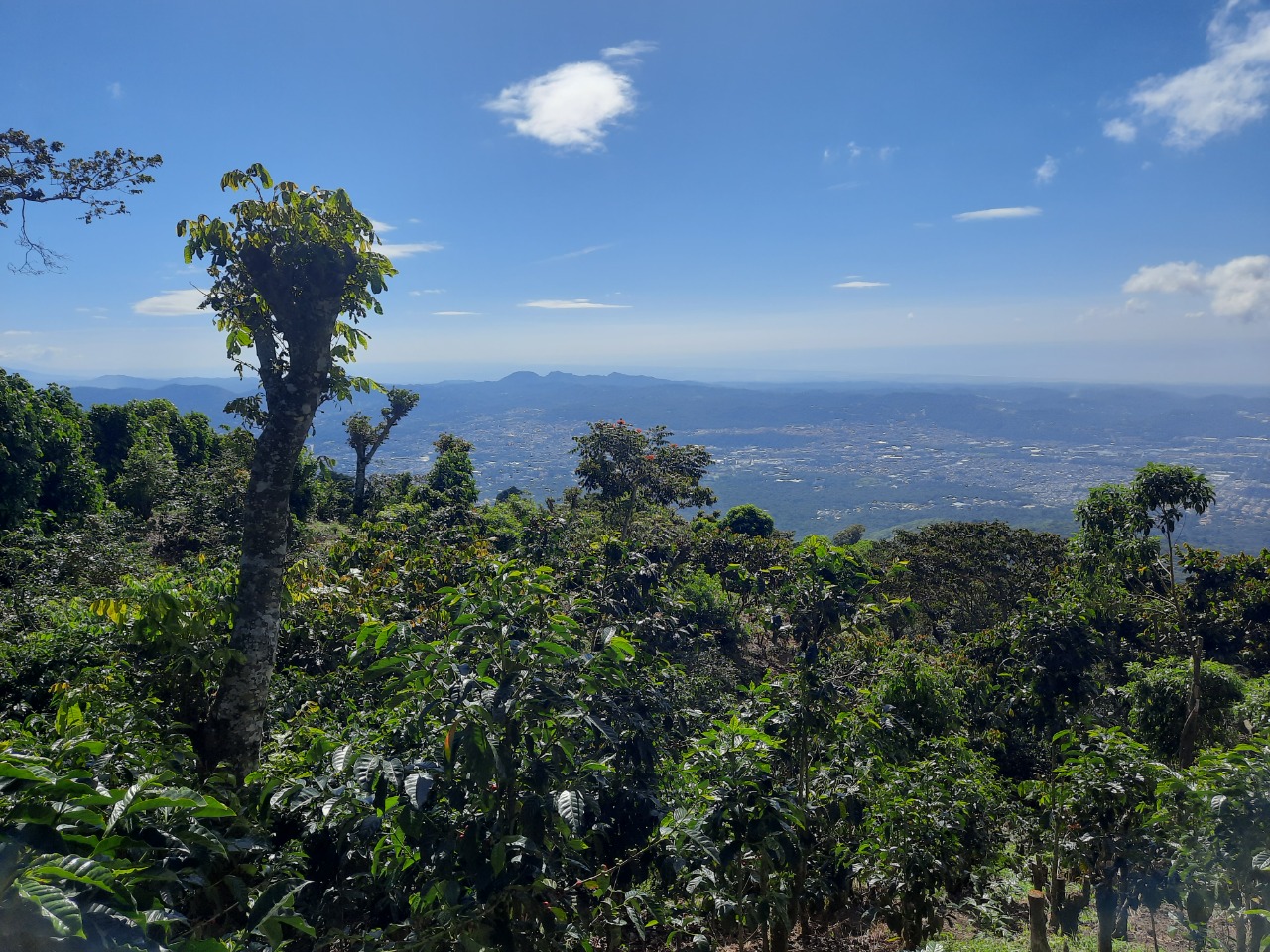 752e4c73-360b-4e88-9fb0-fc1a7c7f7716