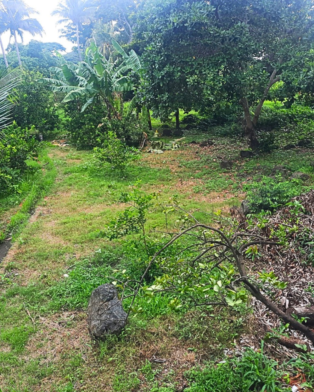 76795756-d154-43fc-a1c1-402bcd8a5fdb