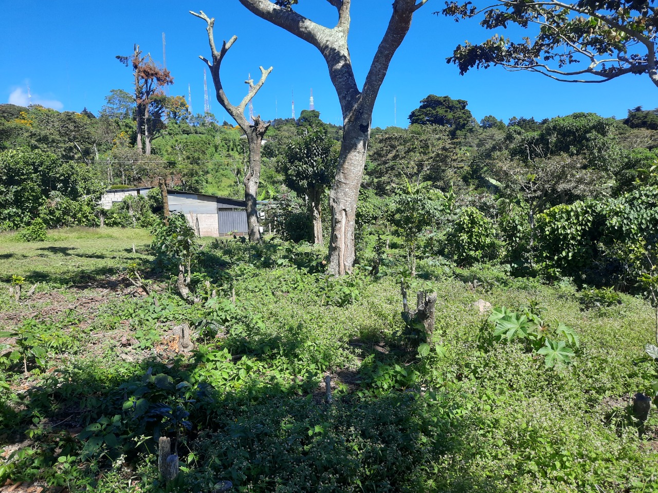 8bae6b7c-f860-4cf6-a813-47bfdba351fc