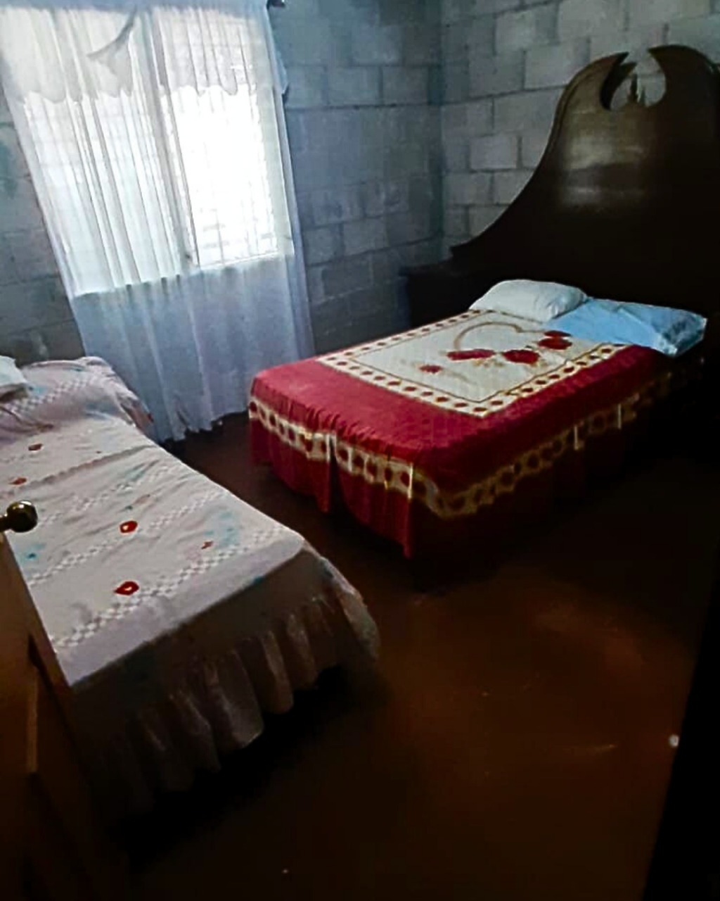 b18543c3-e73e-48d1-8d5a-1f5ffd22077d