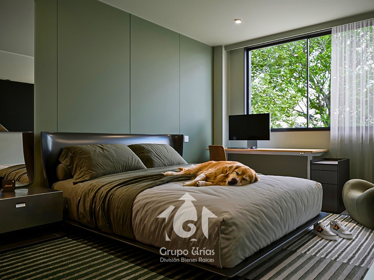 c844bece-63d9-41df-85b3-7cec0ea19a06