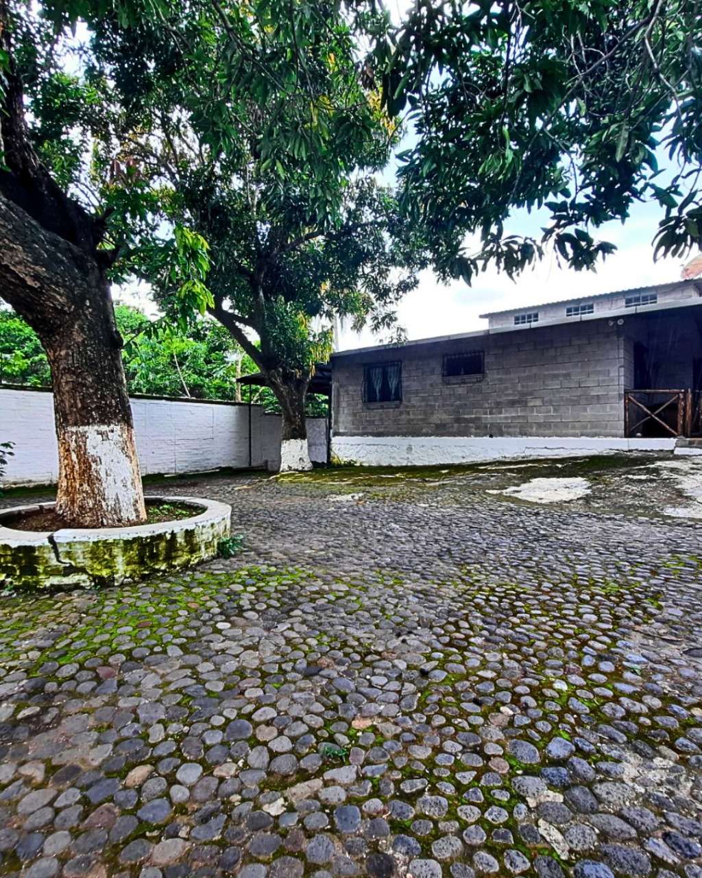 cd965454-4d25-464d-8be4-b3d8697439e4