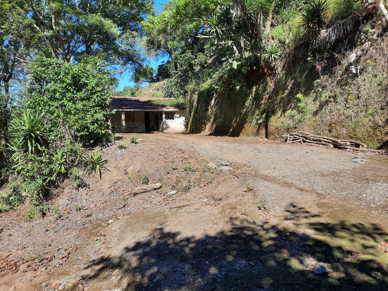 d53c7998-e8fc-4387-822e-2ac54219c277