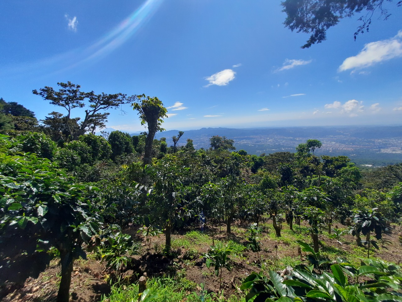 d68b1b19-590a-4da7-af0e-3da0320b13e4