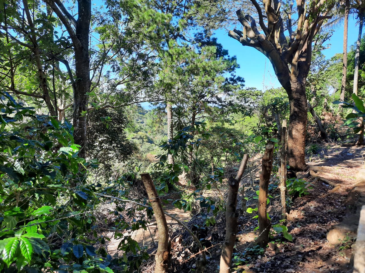 e029edcc-6cf8-4e6c-bd90-34daadde42d4