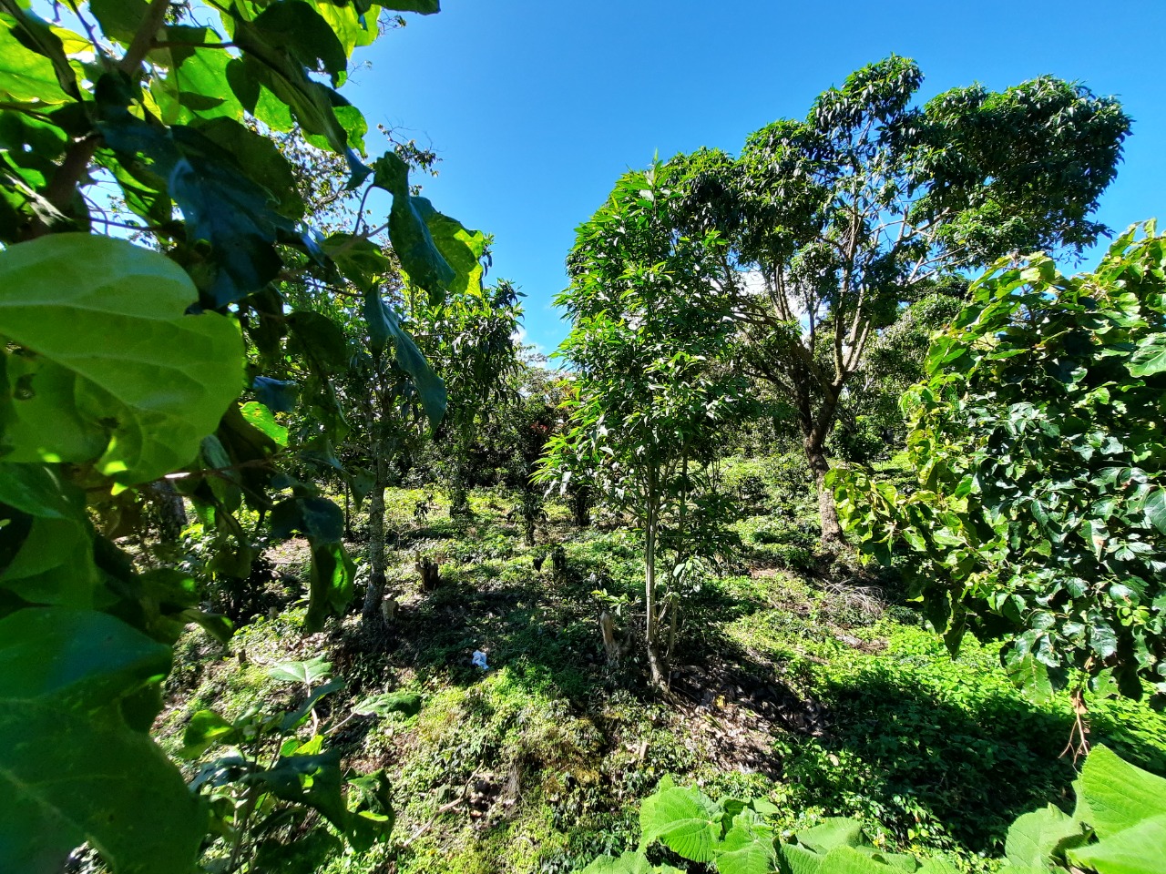 e16a8f7b-2346-4ac2-8aa0-eed13170ad1f